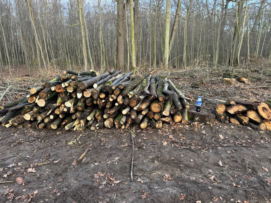 Drewno opałowe, kominkowe  niskie ceny!