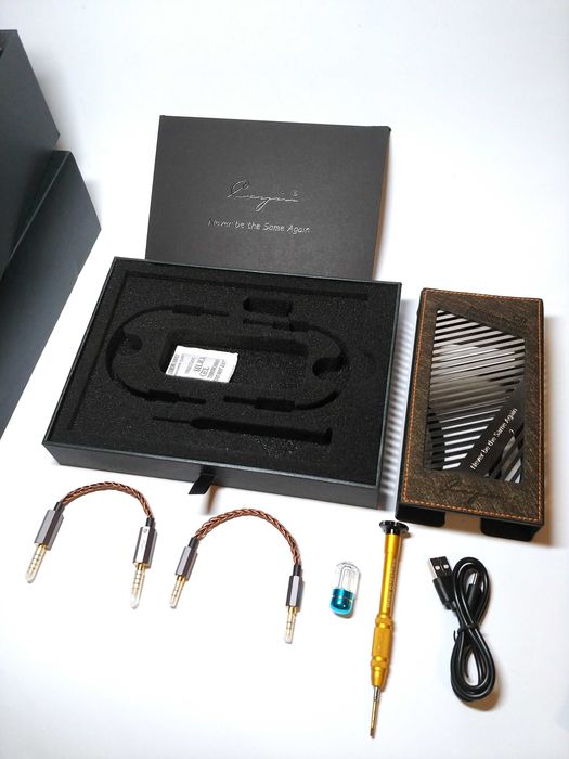 Cayin C9 преміальний дискретний балансний ламповий підсилювач до 4 Вт