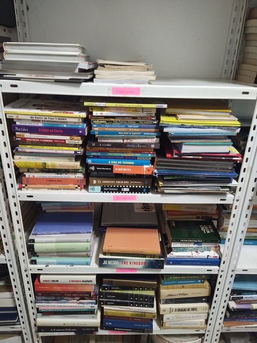 Lote de livros varias temáticas