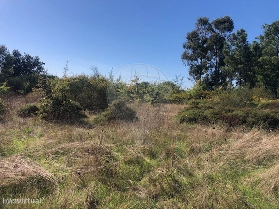 Terreno  para venda