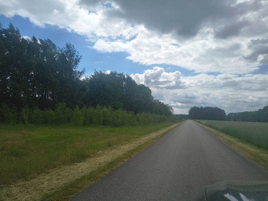 działka rekreacyjna na wsi cisza przyroda - Widok 4