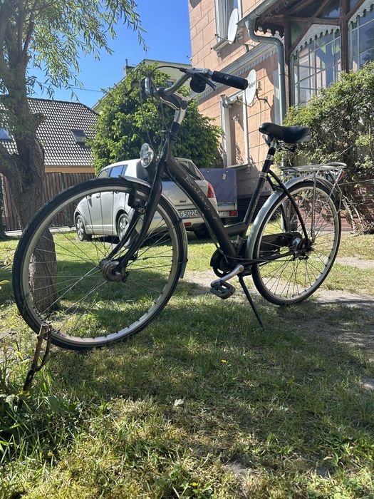 Rower Batavus męski