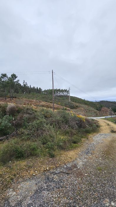 Terreno em Mação