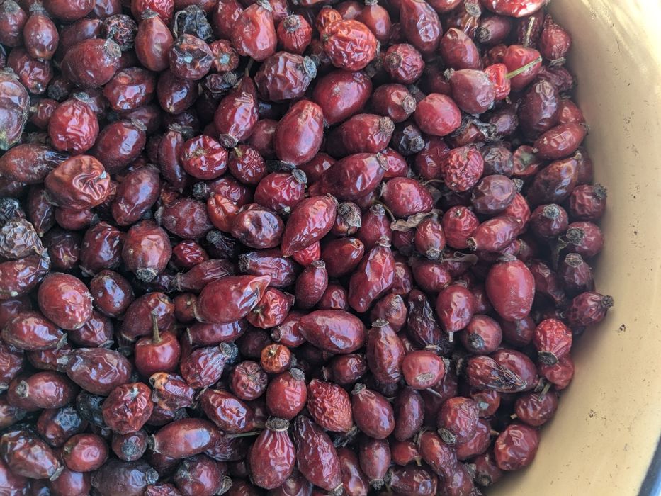 Шипшина, ягоди сухі