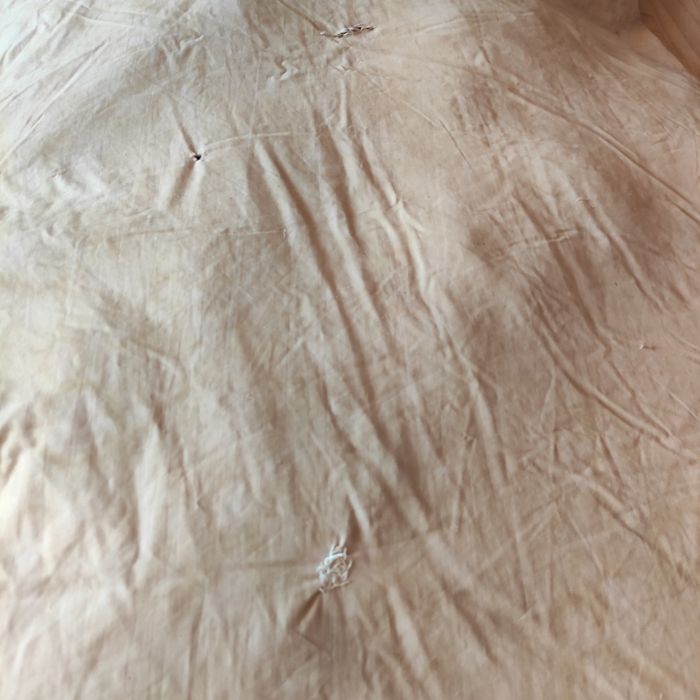 Poduszki z pierza puchowe 2 sztuki 70x80