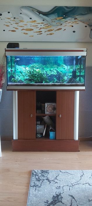 Aquário Aquatlantis