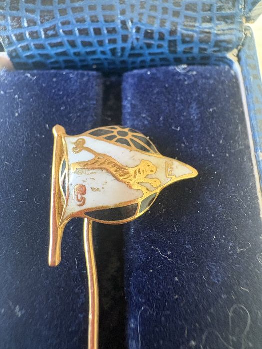 Alfinete ouro SCEspinho