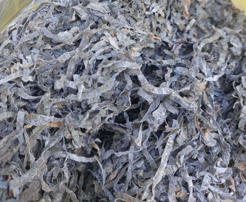 Продам морскую капусту