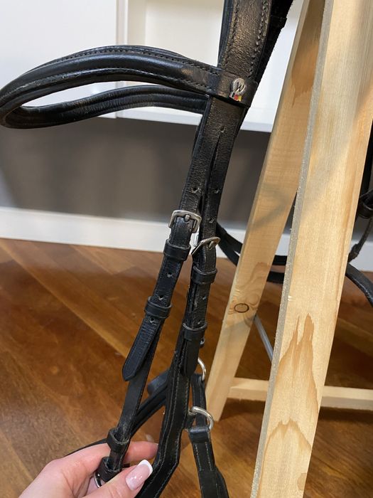 Oglowie anatomiczne waldchausen full