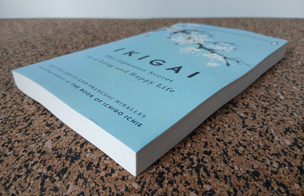 Ikigai: The Japanese Secret to a Long and Happy Life64730217064707123