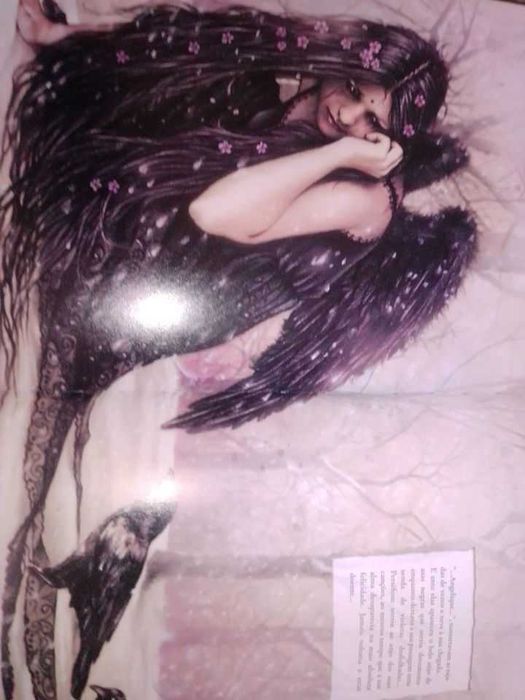 BD FAVOLE- Vitanina BD