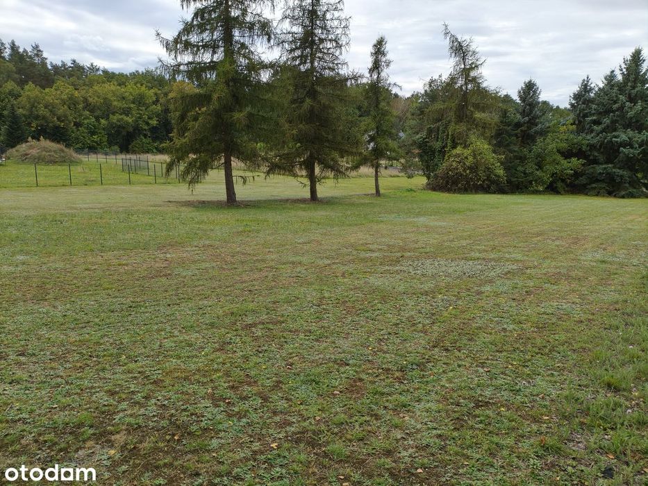 Działka budowlana 4000 m² w spokojnej okolicy