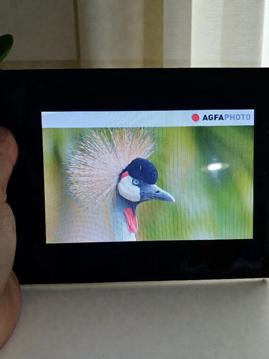 Moldura digital AGFAPHOTO
