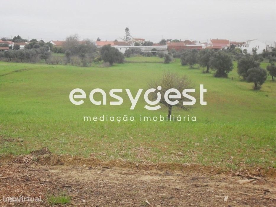 Terreno rústico com 9480M2 em Bairro D. Constança, Tremês.