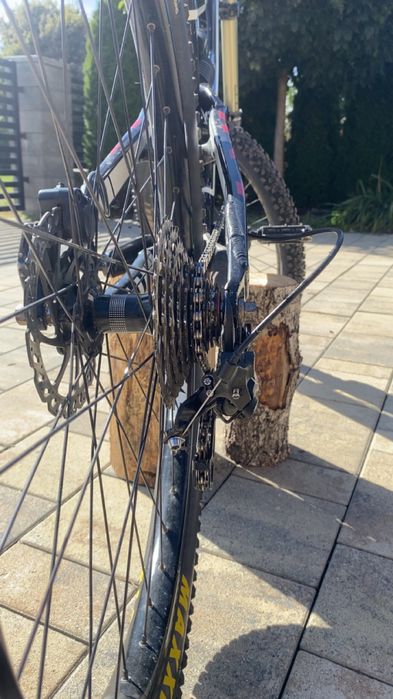 Rower specialized status 1