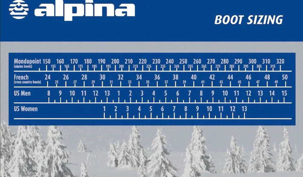 Buty biegowe Alpina Montana BC (BackCountry) 46