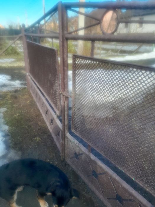 Вхідна брама з хвірткой