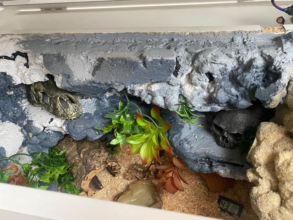 Terrarium  z wyposażeniem. 60/40/40 cm