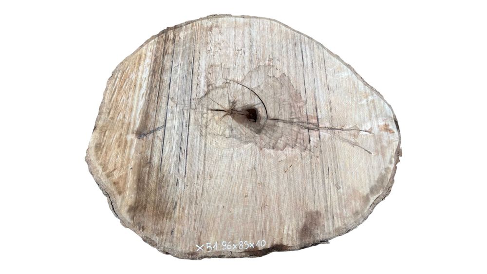 Duże Plastry Drewna Jawor 90cm+ Blat Drewniany Stół Obiadowy