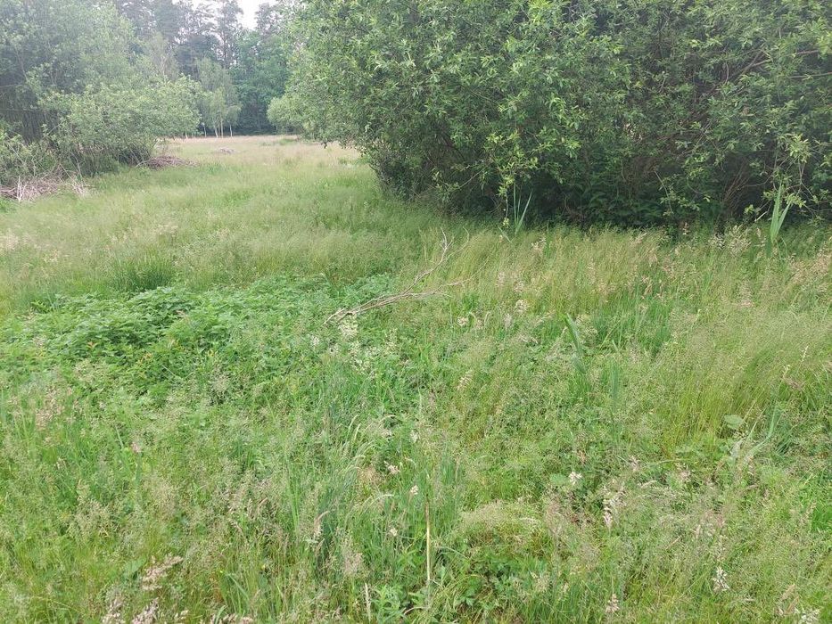 Działka na Mazurach przy szlaku WJM nad jeziorem Bełdany