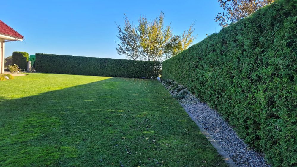 Usługi ogrodnicze, usługi minikoparką