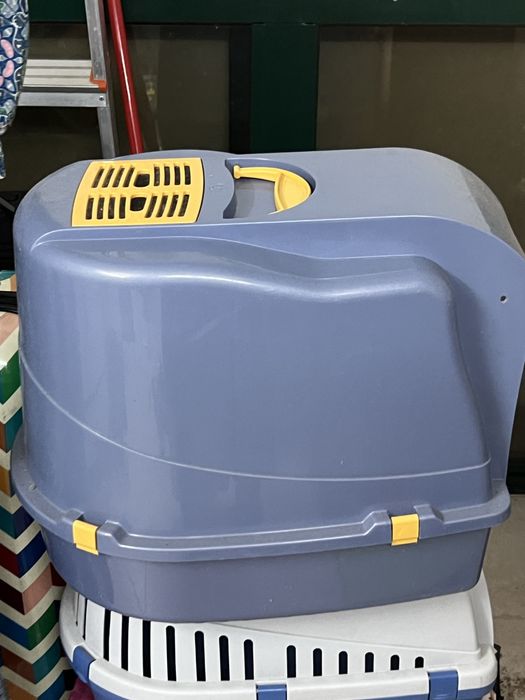 WC Gato transporte
