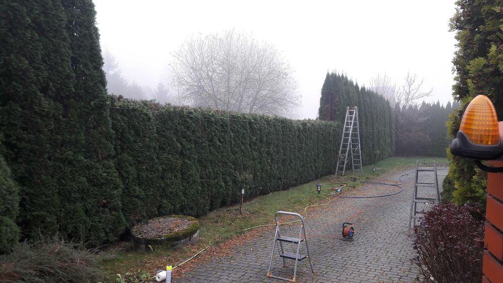 Przycinanie tuji, drzew, krzewów z wywozem odpadów pielęgnacje ogrodów