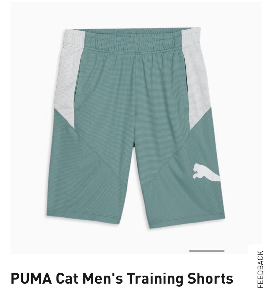 Puma men's training clearance shorts