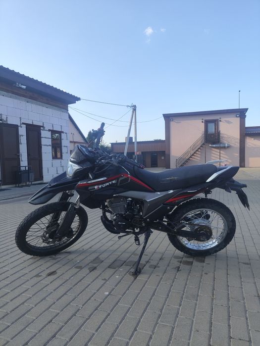 Rottor-Forte 300 на 175FMM