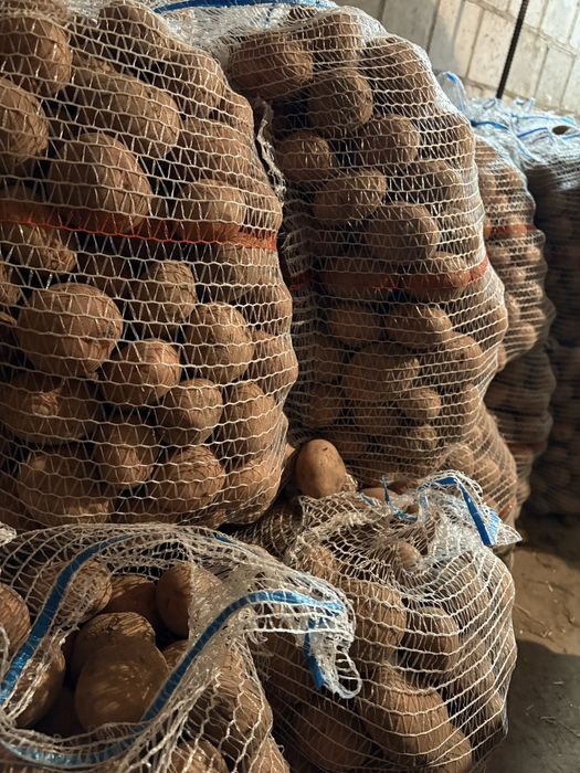 Sprzedam ziemniaki irga/nasionki