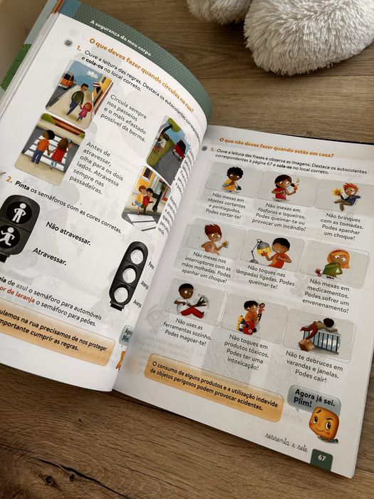 Manual e livros de fichas Estudo do meio 1 ano PLIM