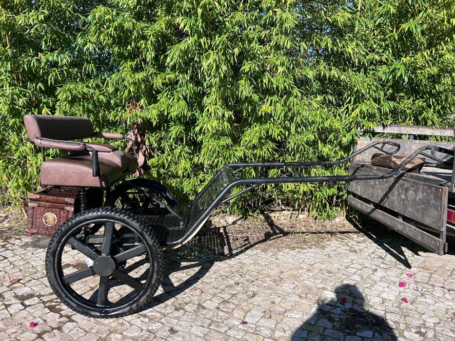 Charrete para pônei ou cavalo