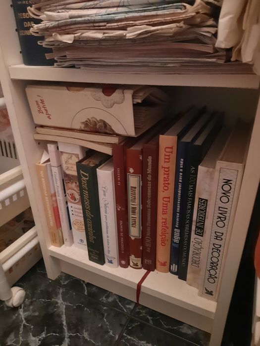 Lote de vários livros