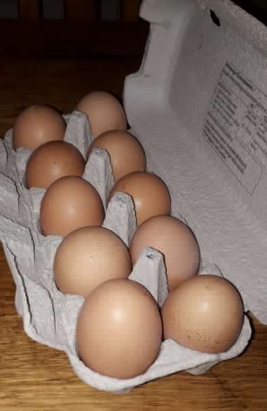 Jajka wiejskie z wolnego wybiegu