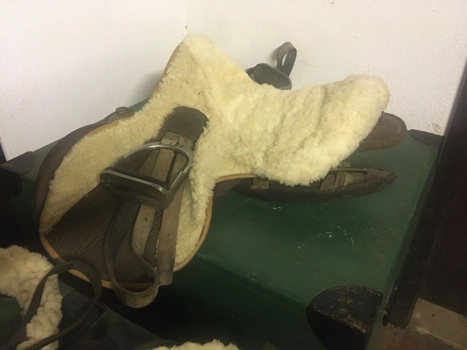 2 caixas de arreios, 1 arreio de Torres Novas e 2 arreios da ordem