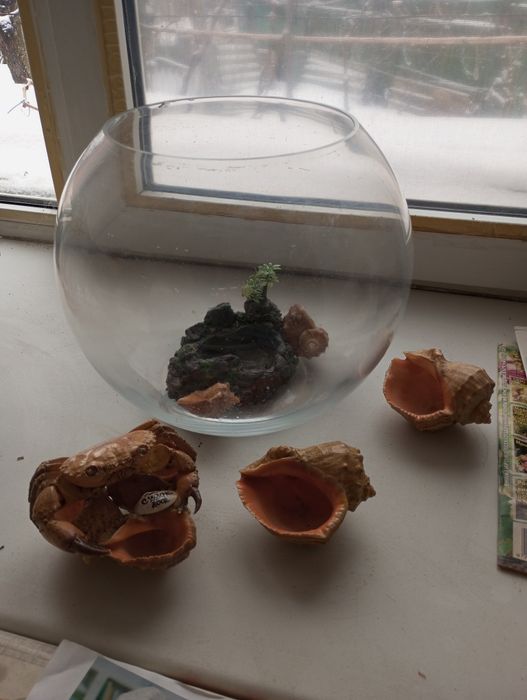 Аквариум круглый для рыбок на 10л.