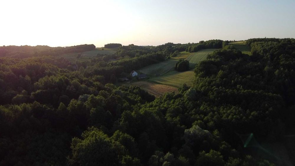Gospodarstwo w spokojnej okolicy do wynajęcia (podkarpacie)