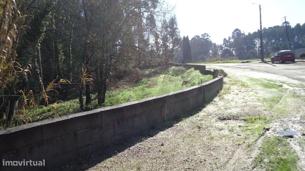 Terreno próximo de Aveiro