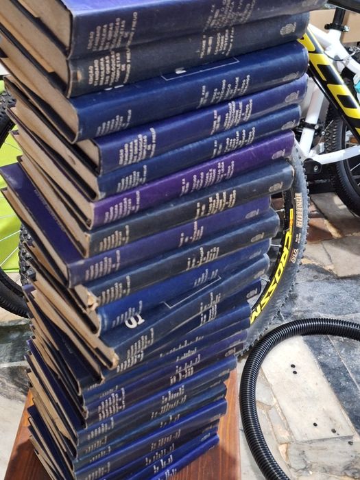 Enciclopédia de Sigmund Freud