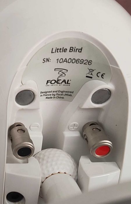 2 Focal little bird ( Vendo/Troco)