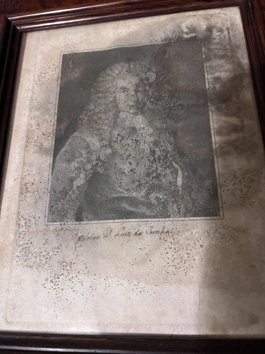 seregrafia de D. LUIZ Da Cunha
