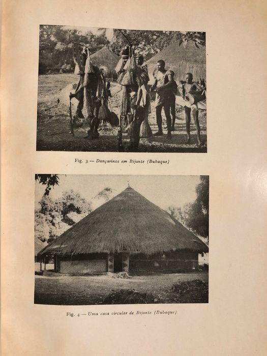 Estudo da População da Guiné (1946) / Jorge Dias-Timor-Tauaras