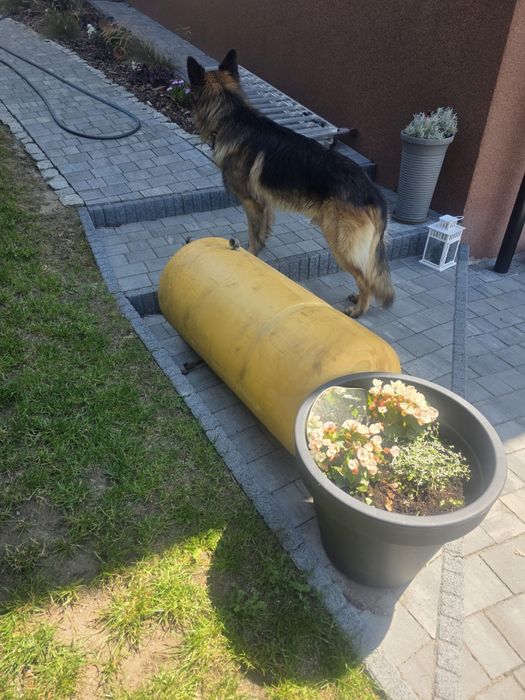 Boiler 120l podwójna wężownica