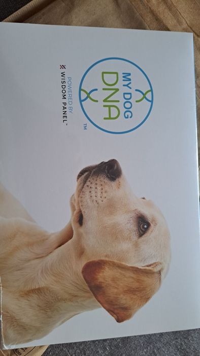 Test genetyczny mydogdna 2szt