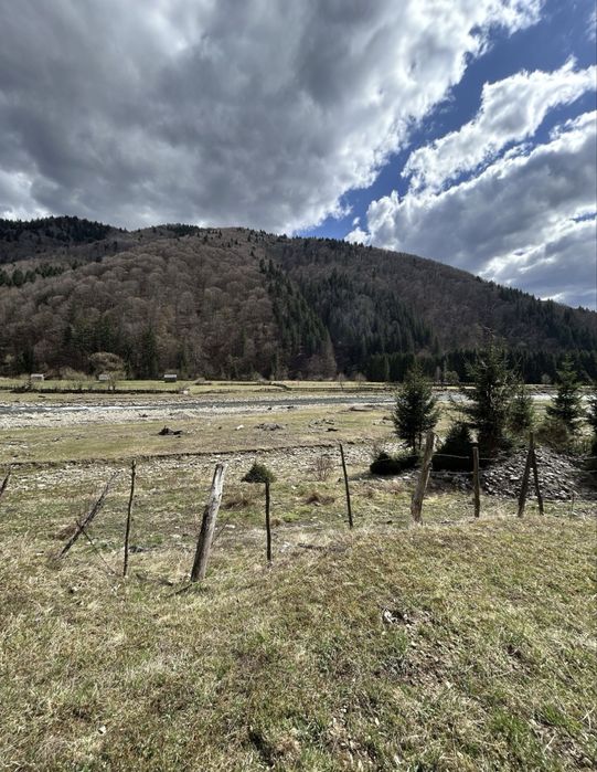 Земельна ділянка в селі Колочава (Меришор )