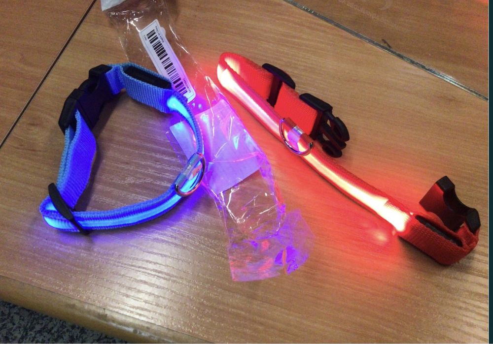 Coleira De Cão Led64751791617666124