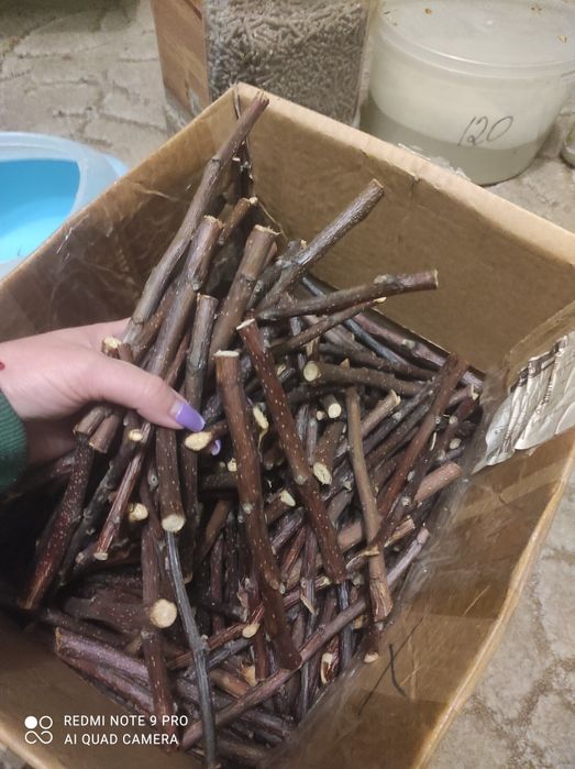 Палочки фруктові для гризунів, пісок, пил, корм для гризунів