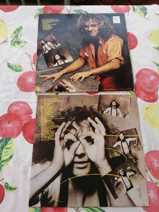 Peter Frampton, Where I Should be440852238199040003