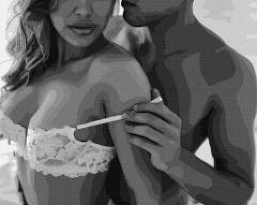 Malowanie po numerach - Pasjonalny dotyk 40x50cm Ideyka pudełko,