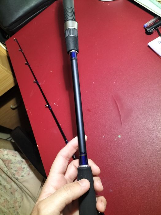 Daiwa exceler Oceano 60-120g